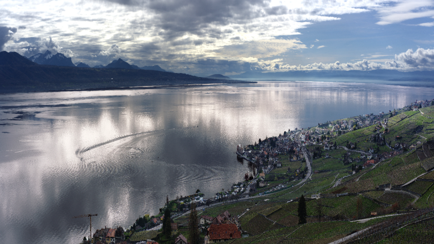 Lavaux